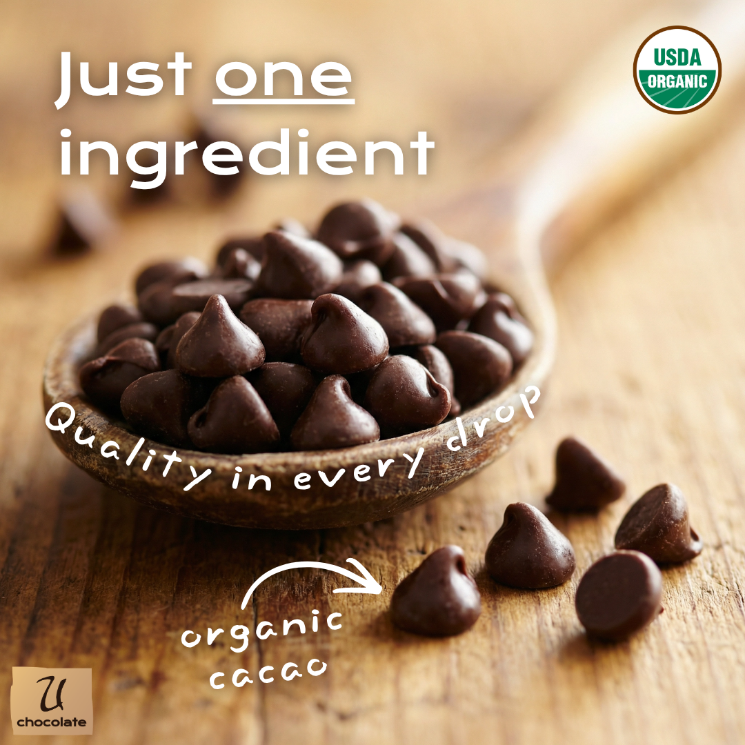 Organic 100% Cacao Chips