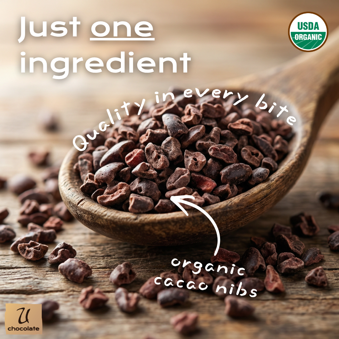 Organic Cacao Nibs