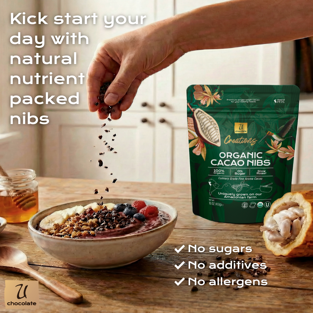 Organic Cacao Nibs