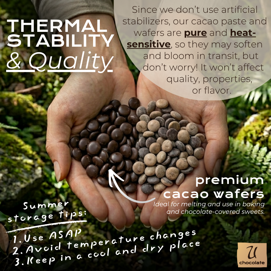 Organic 100% Cacao Paste