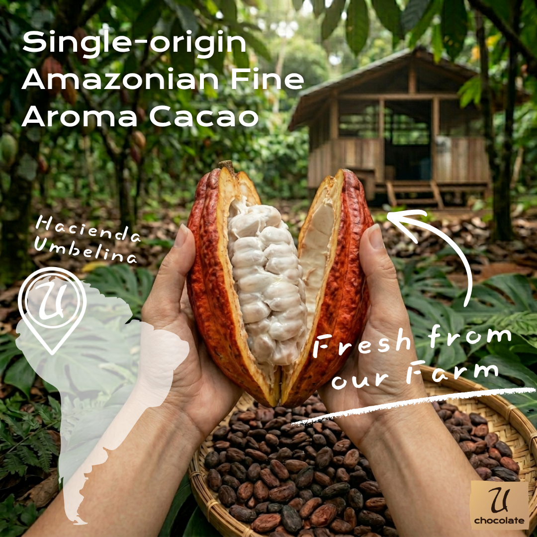U Chocolate organic cacao - farm sourced ingredients