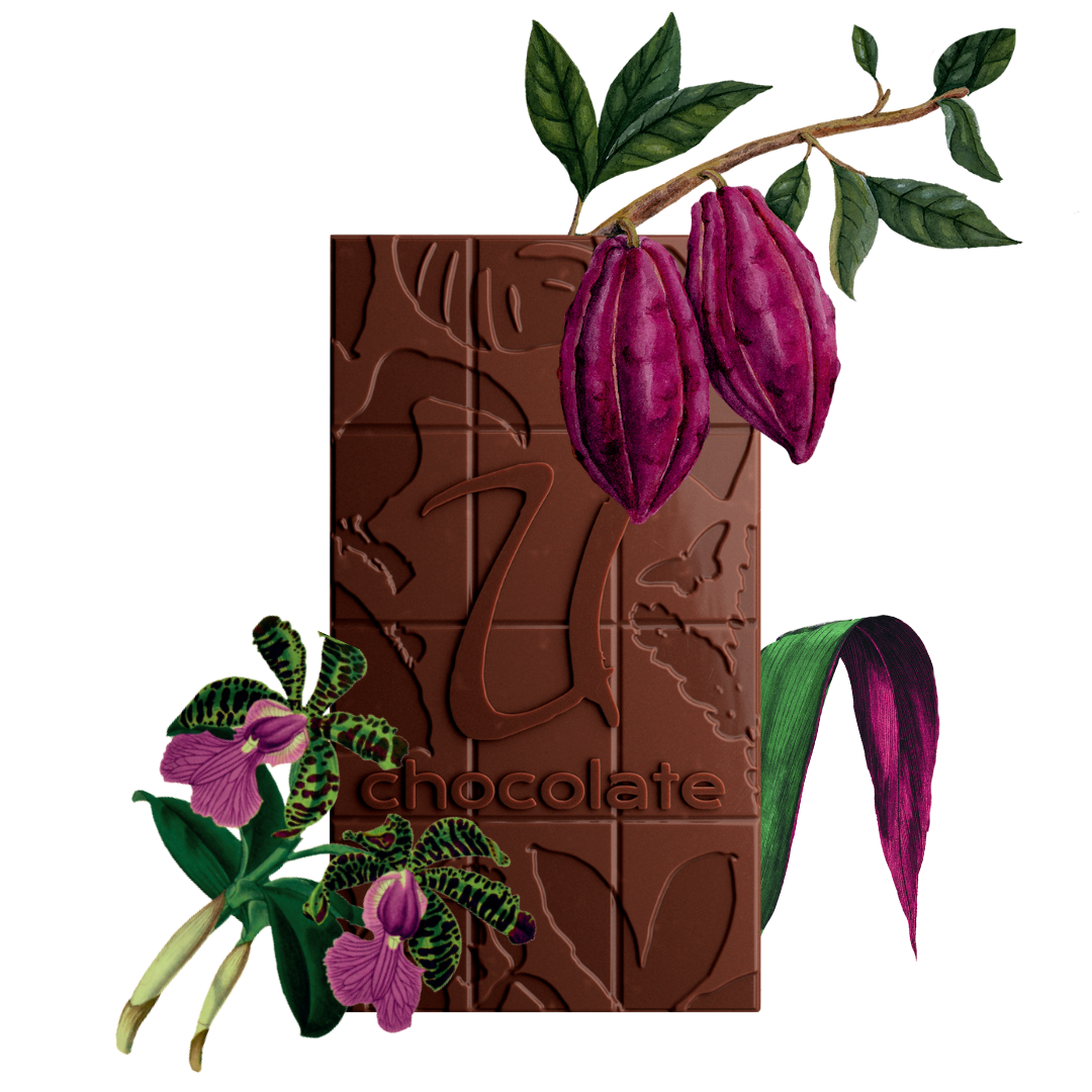 Dark Chocolate Bars 85% - Wild Experience