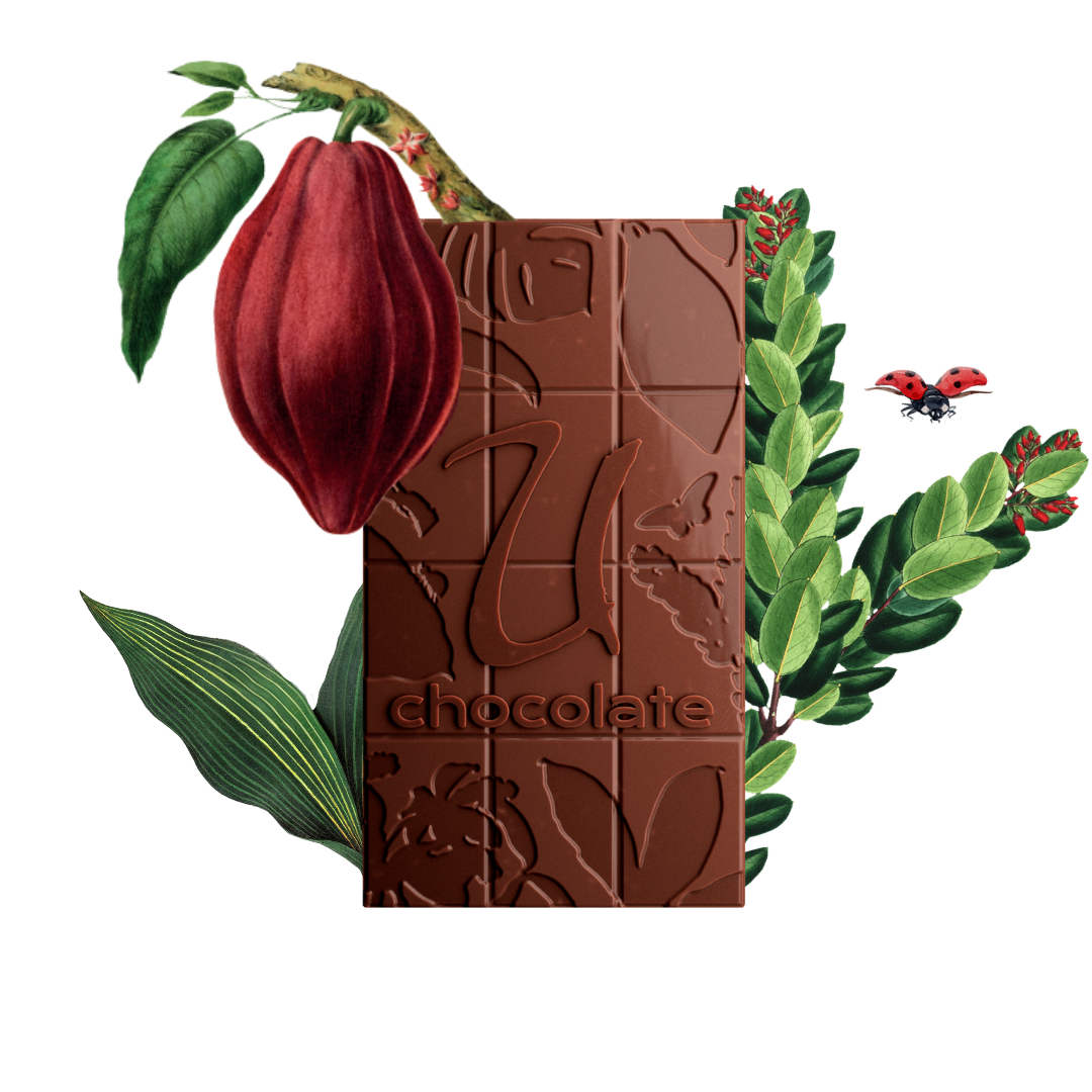 Dark Chocolate Bars 72% - Aromatic Experience