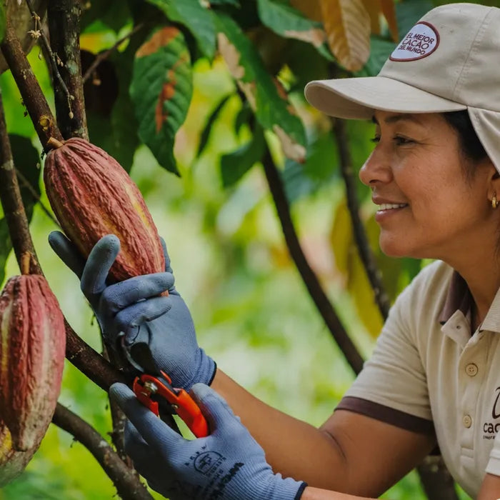 Our Cacao