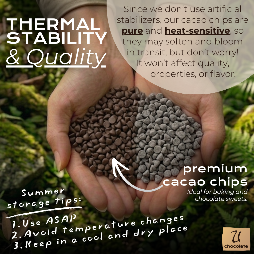 Organic 100% Cacao Chips